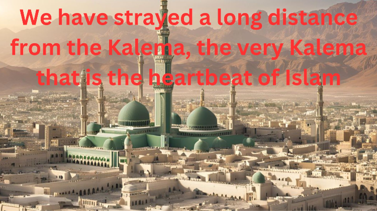 the-call-of-true-islam